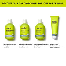 Load image into Gallery viewer, DevaCurl One Condition Original Conditioner - Litre