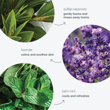 Load image into Gallery viewer, Dermalogica Special Cleansing Gel