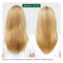 Load image into Gallery viewer, Biolage Strength Recovery Conditioner