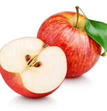 Load image into Gallery viewer, L'anza Healing Curls Curl Boost Spray