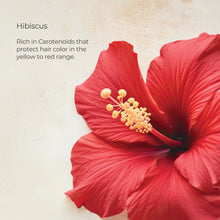 Load image into Gallery viewer, L'anza Healing ColorCare Conditioner