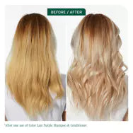 Load image into Gallery viewer, Biolage ColorLast Conditioner