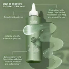 Load image into Gallery viewer, Surface Blowout High Gloss Rinse