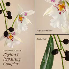 Load image into Gallery viewer, L'anza Keratin Healing Oil Hair Treatment