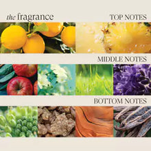 Load image into Gallery viewer, L'anza Healing ColorCare Trauma Treatment