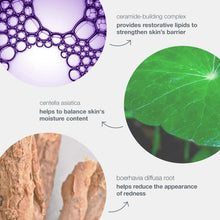 Load image into Gallery viewer, Dermalogica Stabilizing Repair Cream