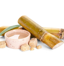 Load image into Gallery viewer, L'anza Healing Moisture Shampoo