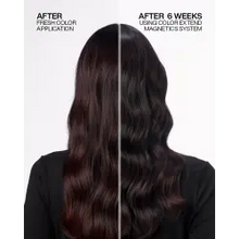 Load image into Gallery viewer, REDKEN Color Extend Magnetics Shampoo