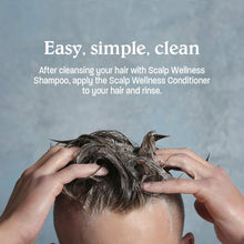 Load image into Gallery viewer, Malibu C Swimmers Wellness Conditioner 100% vegan