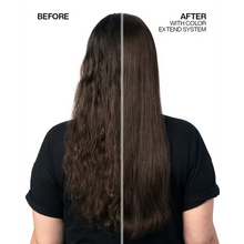 Load image into Gallery viewer, Color Extend Magnetics Conditioner