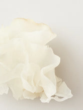 Load image into Gallery viewer, AG Nourish Snow Mushroom Moisture Mask Snow mushroom delivers intense hydration while superfoods such as mango, chia, and avocado oils are blended in a rich, creamy shea butter base that restores dryness and brittleness resulting in shinier, more luxurious hair