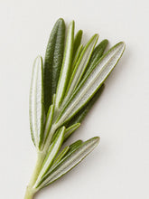 Load image into Gallery viewer, AG Molding Cream Sculpt and Style Mold, sculpt and set your style in any hair length, adding texture and a polished shine. Distributes easily through the hair and washes out effortlessly. Emulsify in hands and apply to damp or dry hair, style and go.