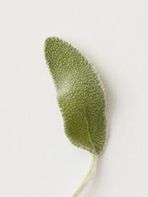 Load image into Gallery viewer, AG Conditioning Mist Detangling Spray Instantly soften and detangle hair without build up or residue with this rosemary- and sage-infused formula. Mist damp or dry hair and comb through. Ideal on children’s tangles.