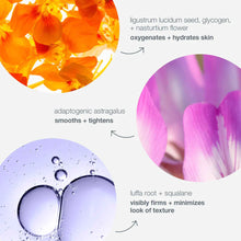 Load image into Gallery viewer, Dermalogica Phyto Nature Oxygen Cream
