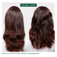 Load image into Gallery viewer, Biolage Hydra Source Conditioning Balm
