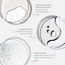 Load image into Gallery viewer, Dermalogica Circular Hydration Serum With Hyaluronic Acid
