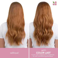 Load image into Gallery viewer, Biolage ColorLast Shampoo - Litre
