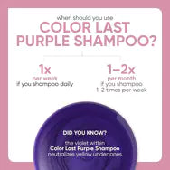Load image into Gallery viewer, Biolage Colorlast Purple Shampoo - Litre
