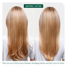 Load image into Gallery viewer, Biolage Hydra Source Daily Leave-In Cream
