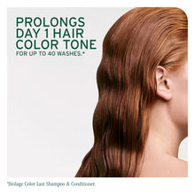 Load image into Gallery viewer, Biolage ColorLast Shampoo
