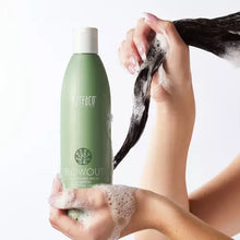 Load image into Gallery viewer, Surface Blowout Shampoo
